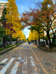 京大北部構内(農学部)の様子